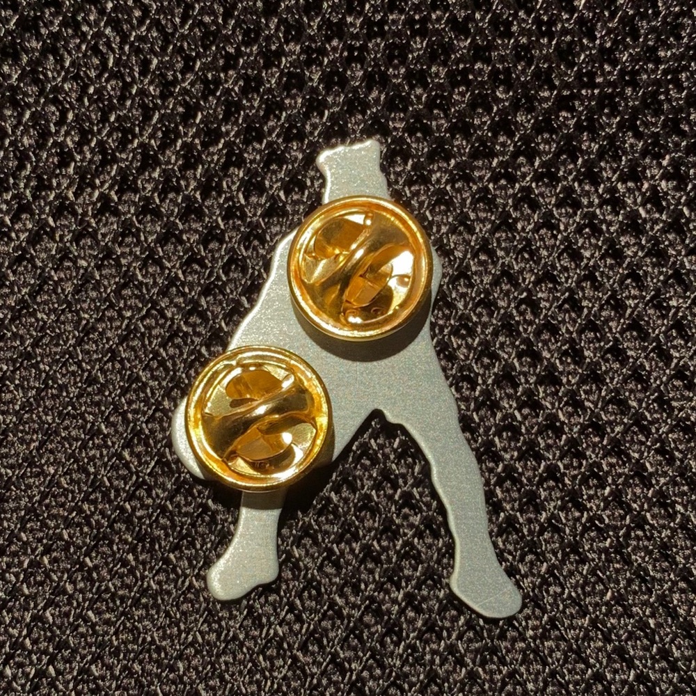 Lebron James Pin - Picture 2 of 2